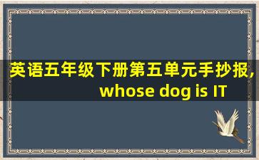 英语五年级下册第五单元手抄报,whose dog is IT